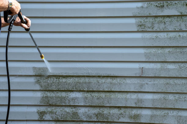 Affordable Siding Repair and Maintenance Services in Bloomingdale, GA