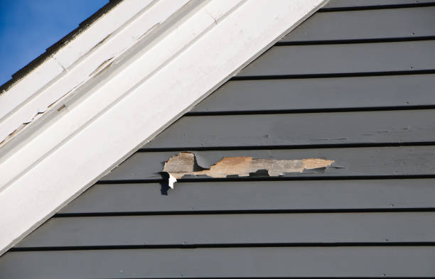 Trusted Bloomingdale, GA Siding Installation Experts